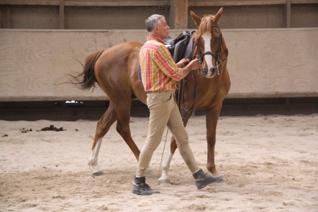 Juin 2010